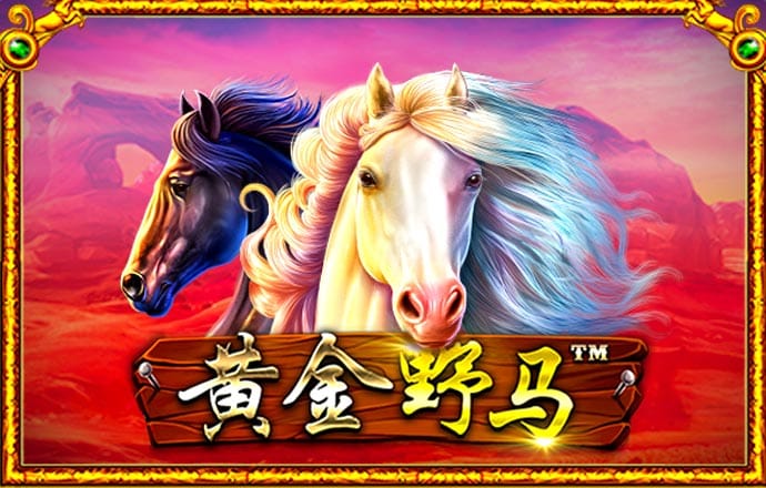 im体育官网app